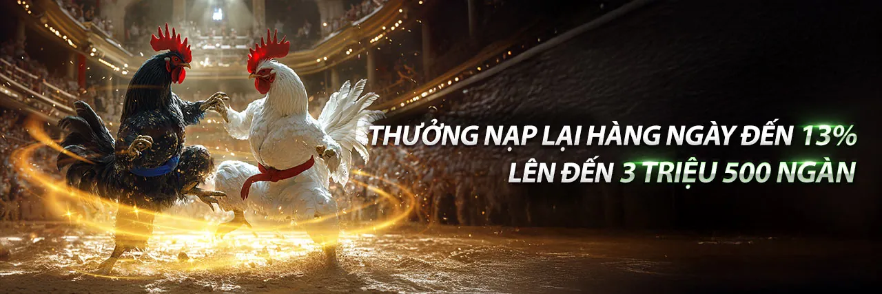Đá Gà Thomo 5/1/2025 Trực Tiếp và Cập Nhật